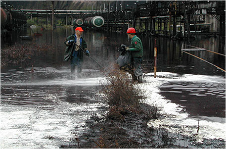 Oilsorb в применении.