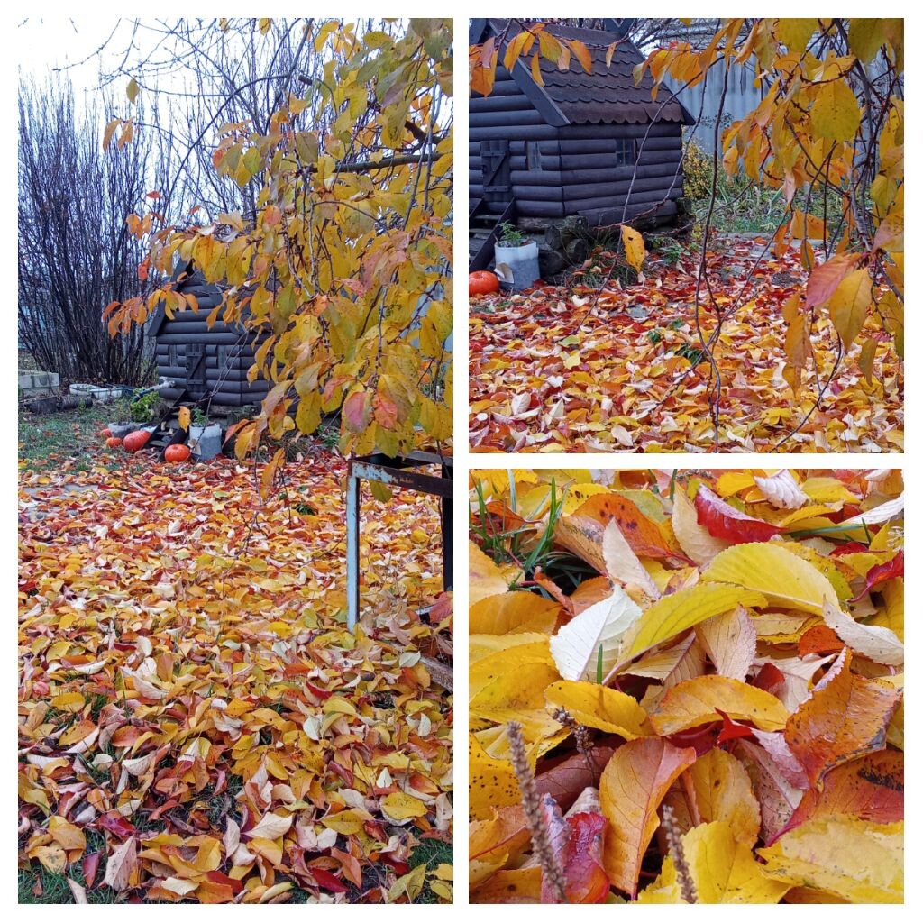 Личное фото.