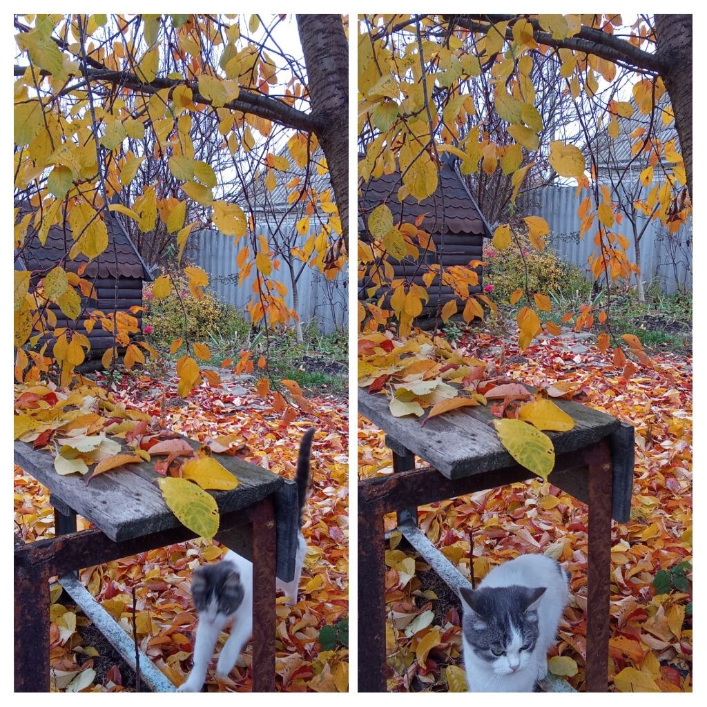 Личное фото 