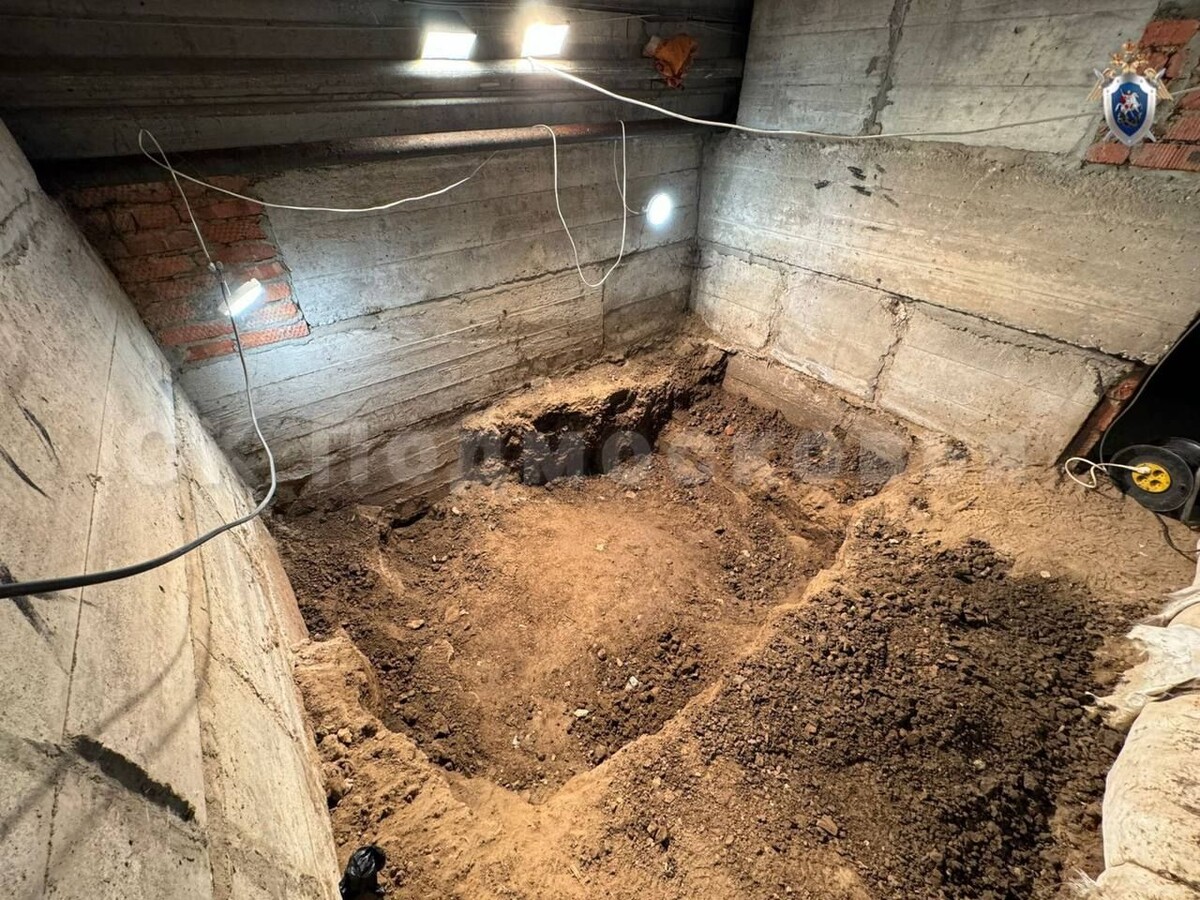     / Источник: СК РФ по Московской области