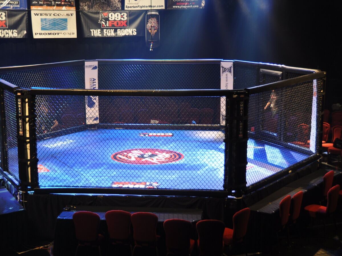    Клетка для проведения боев MMA© Flickr / MartialArtsNomad.com