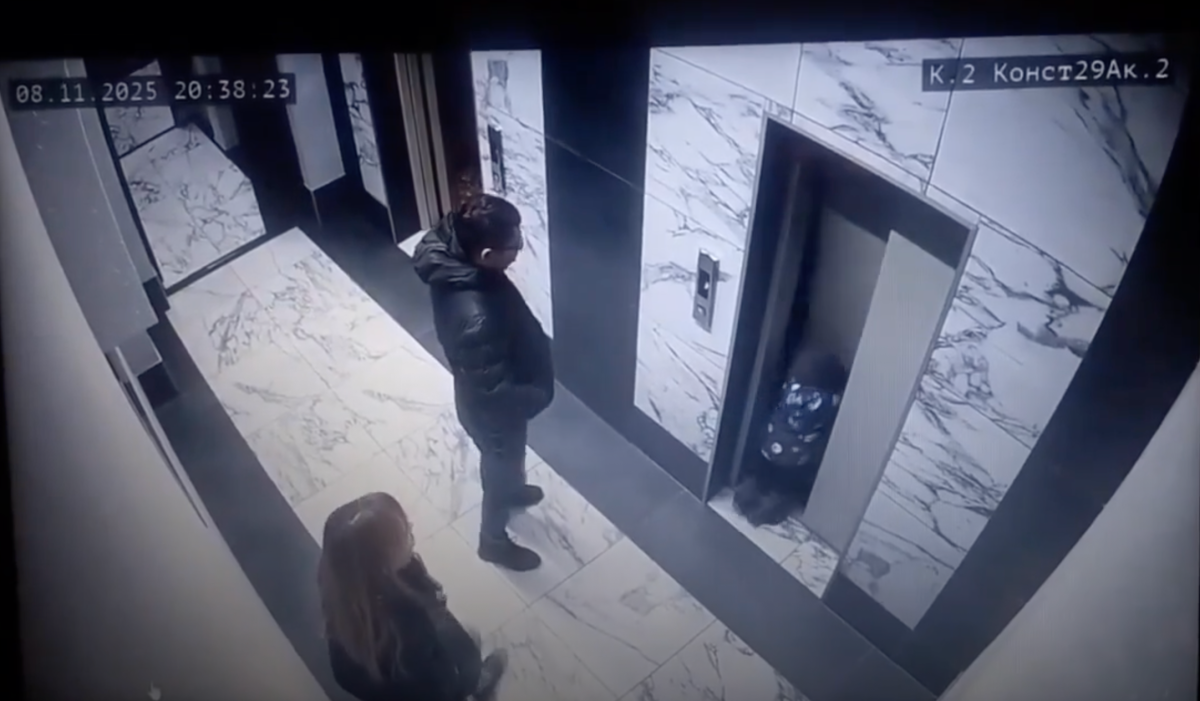     Кадр с видео происшествия. Автор фото: Скриншот с видеокамеры