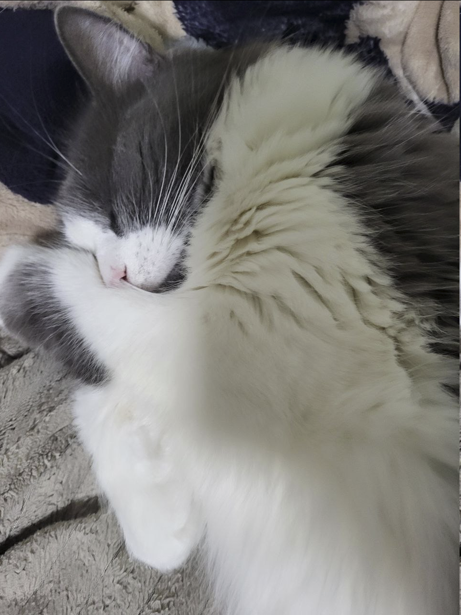 Василь Данилыч