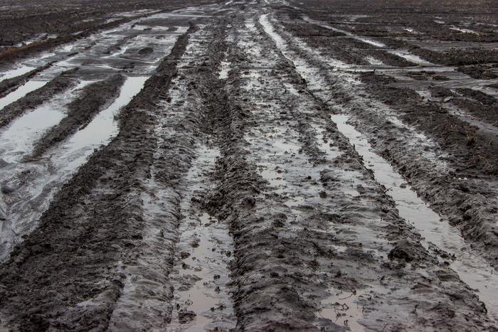 Обложка © Shutterstock / FOTODOM / Alexey Yudenkov