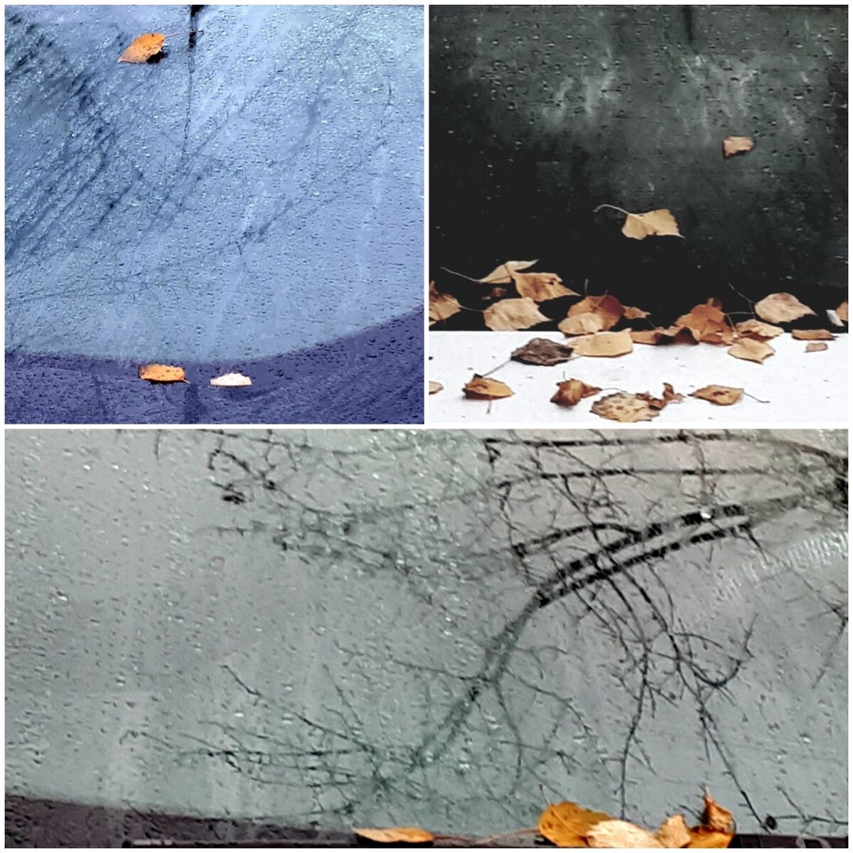 Коллаж автора статьи 10.11.2025г.