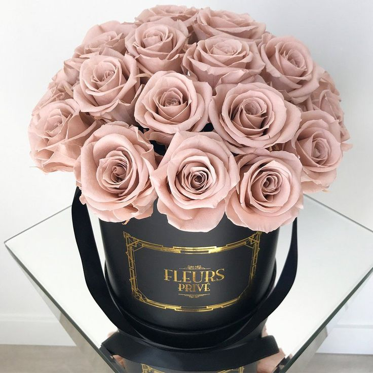 Нюдовые розы