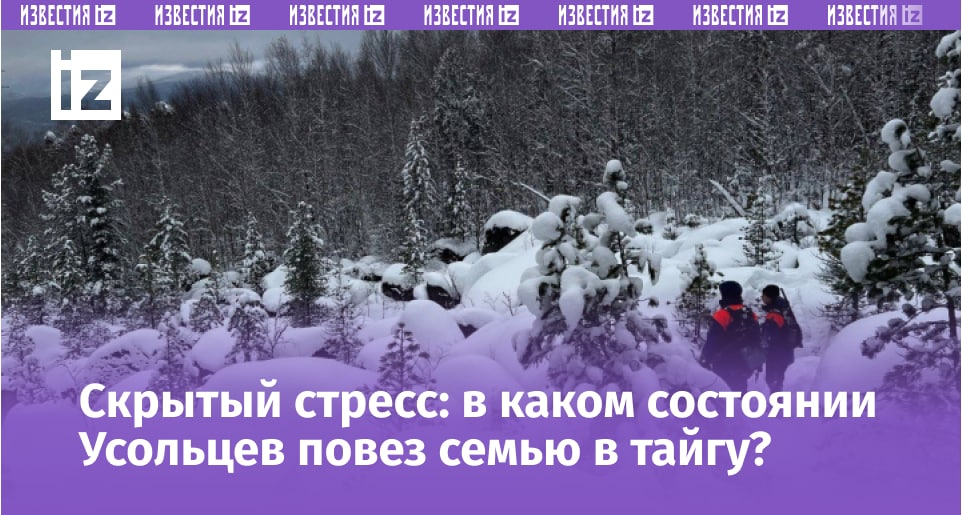 Фото: Telegram/ДПСО «ЛизаАлерт» Красноярского края/nlizaalert24krsk