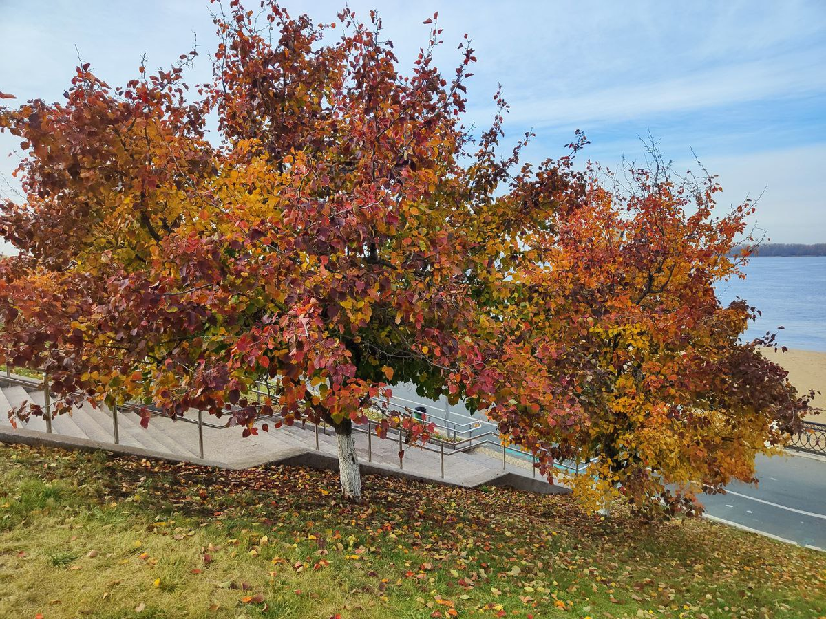 Фото автора.