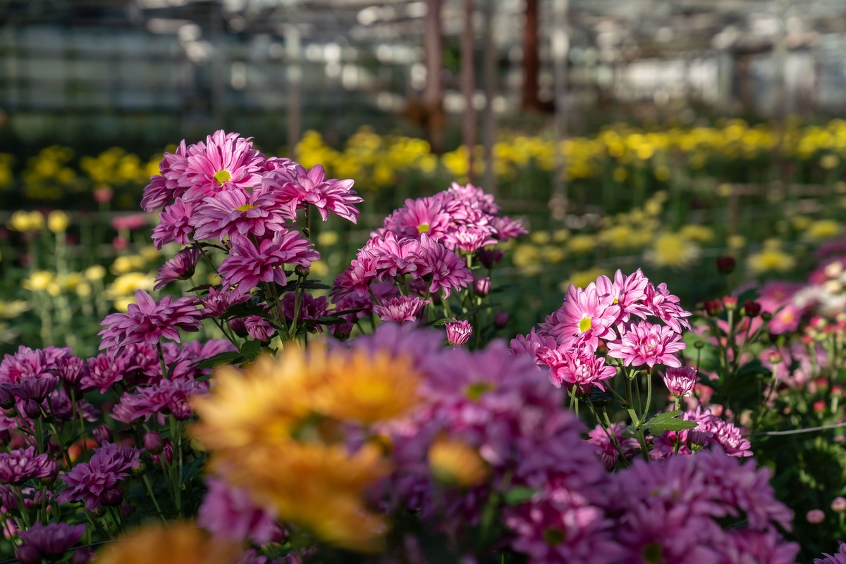    Фото: Евгений Грох