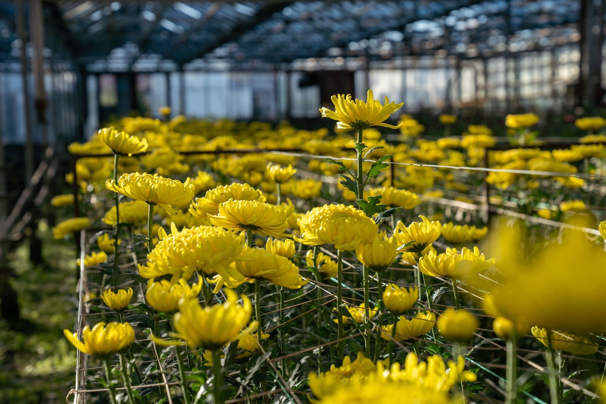    Фото: Евгений Грох