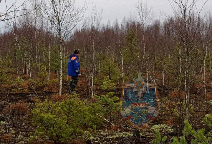 фото: аварийно-спасательная служба Ленобласти
