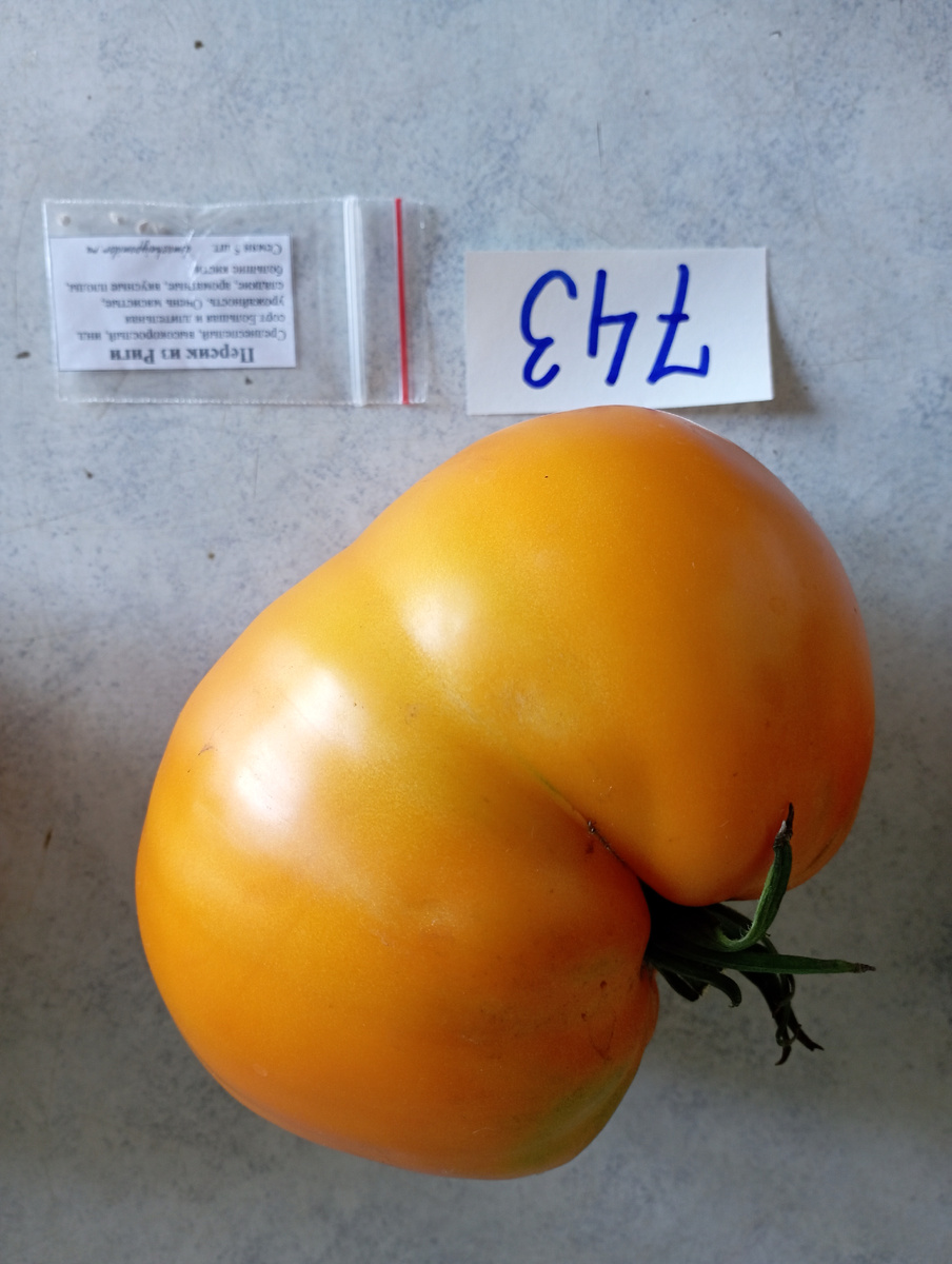 Персик из Риги