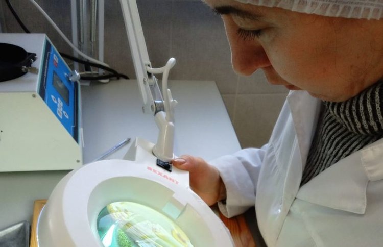    Фото: Федеральный центр охраны здоровья животных