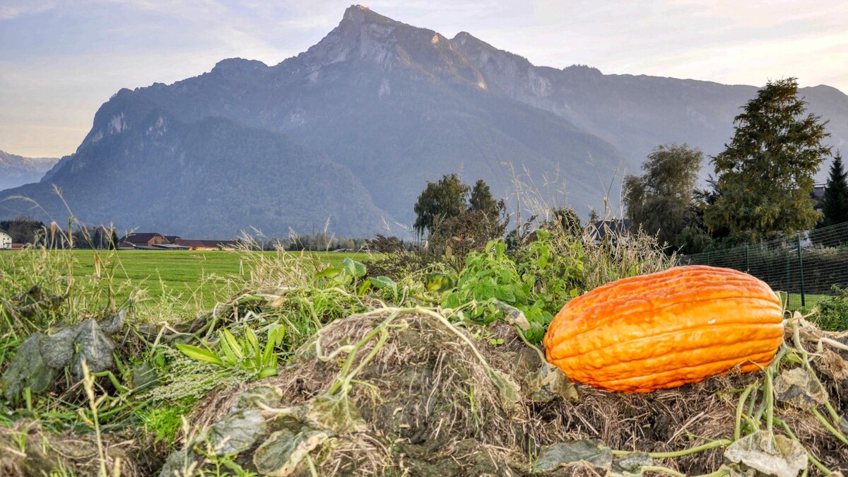 "И вот лежу я на пляжу..."