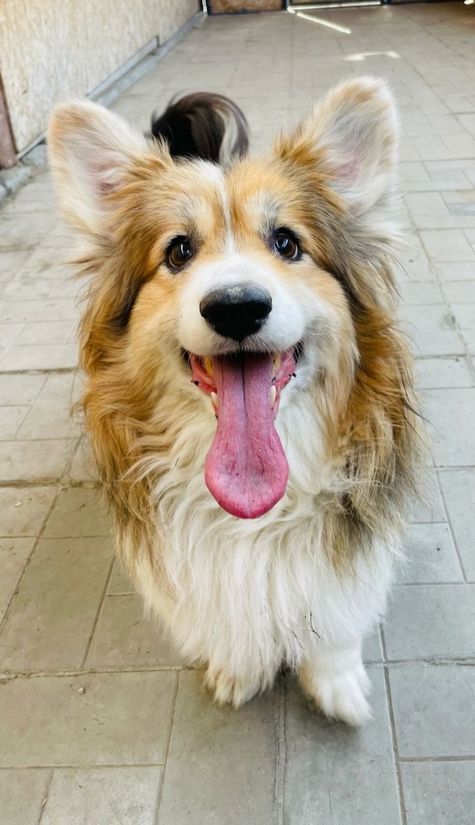 Листайте вправо, чтобы увидеть больше изображений