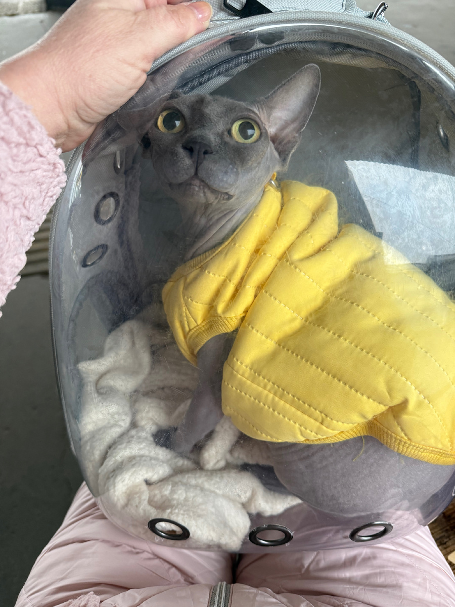 Фото из архива автора: Сима путешественница