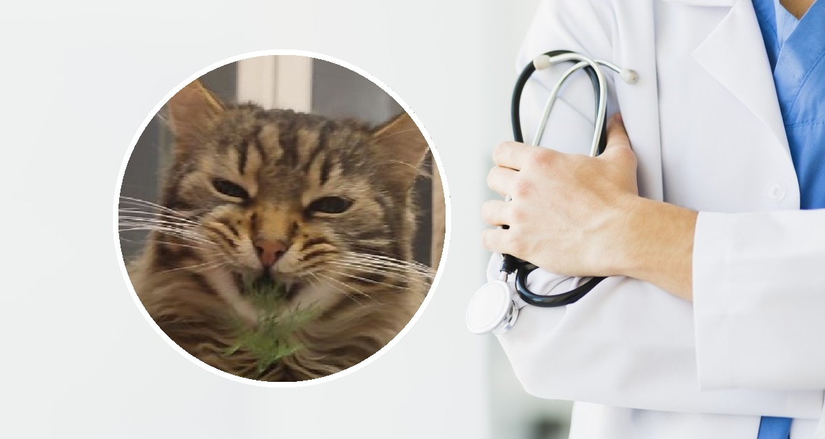 Фото: pxhere.com