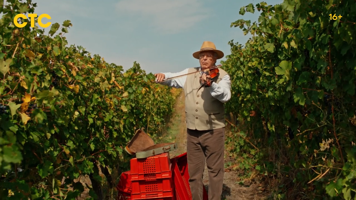 Скриншот из сериала Виноделы 1 сезон