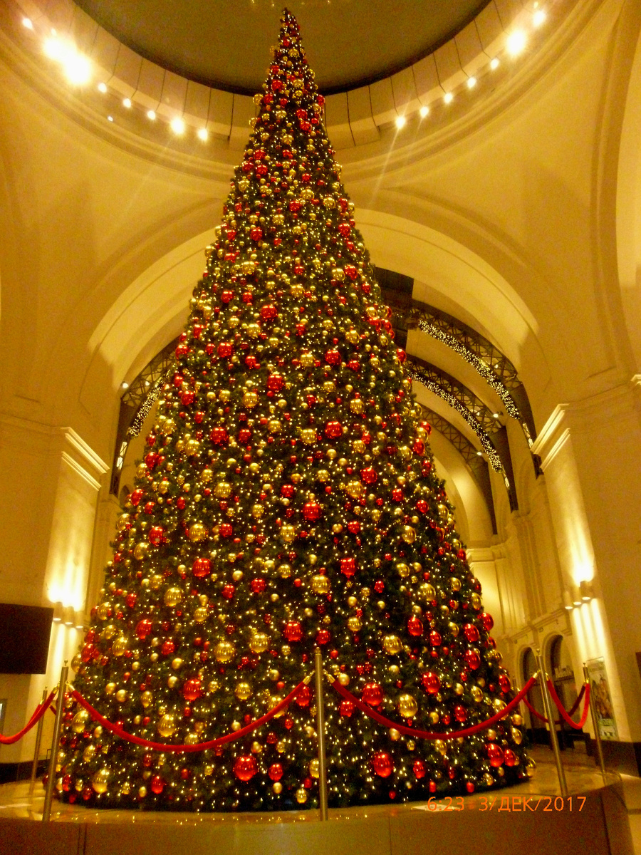 Ёлка в главном холле центрального ж/д вокзала Берлина