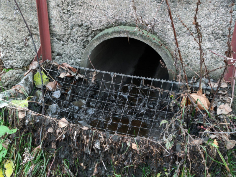    Минприроды Карелии