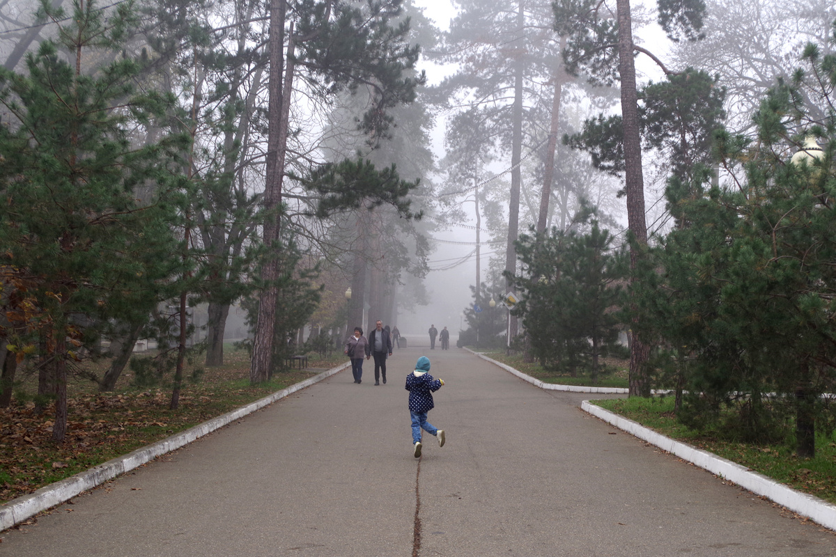 2. Аллея Тысячи сосен.