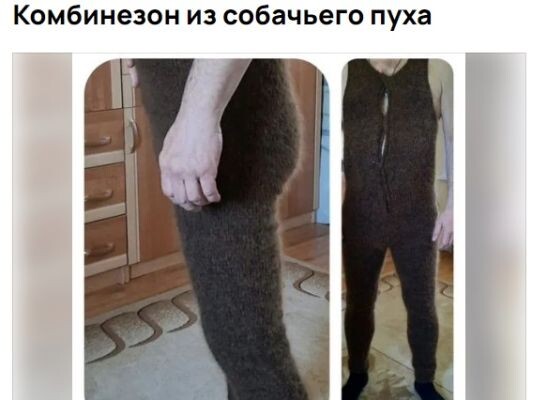    Фото: скриншот с сайта объявлений