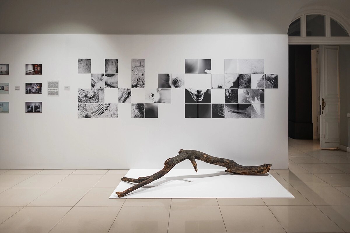    Предоставлено организатором