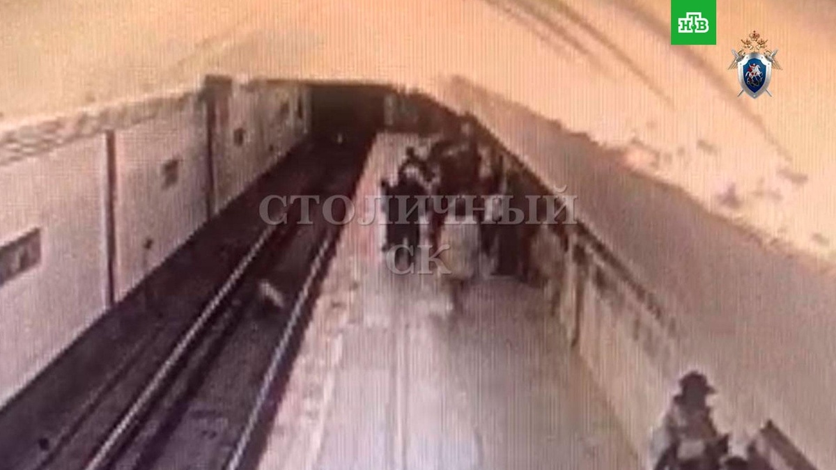    Женщина столкнула девочку с платформы в московском метро