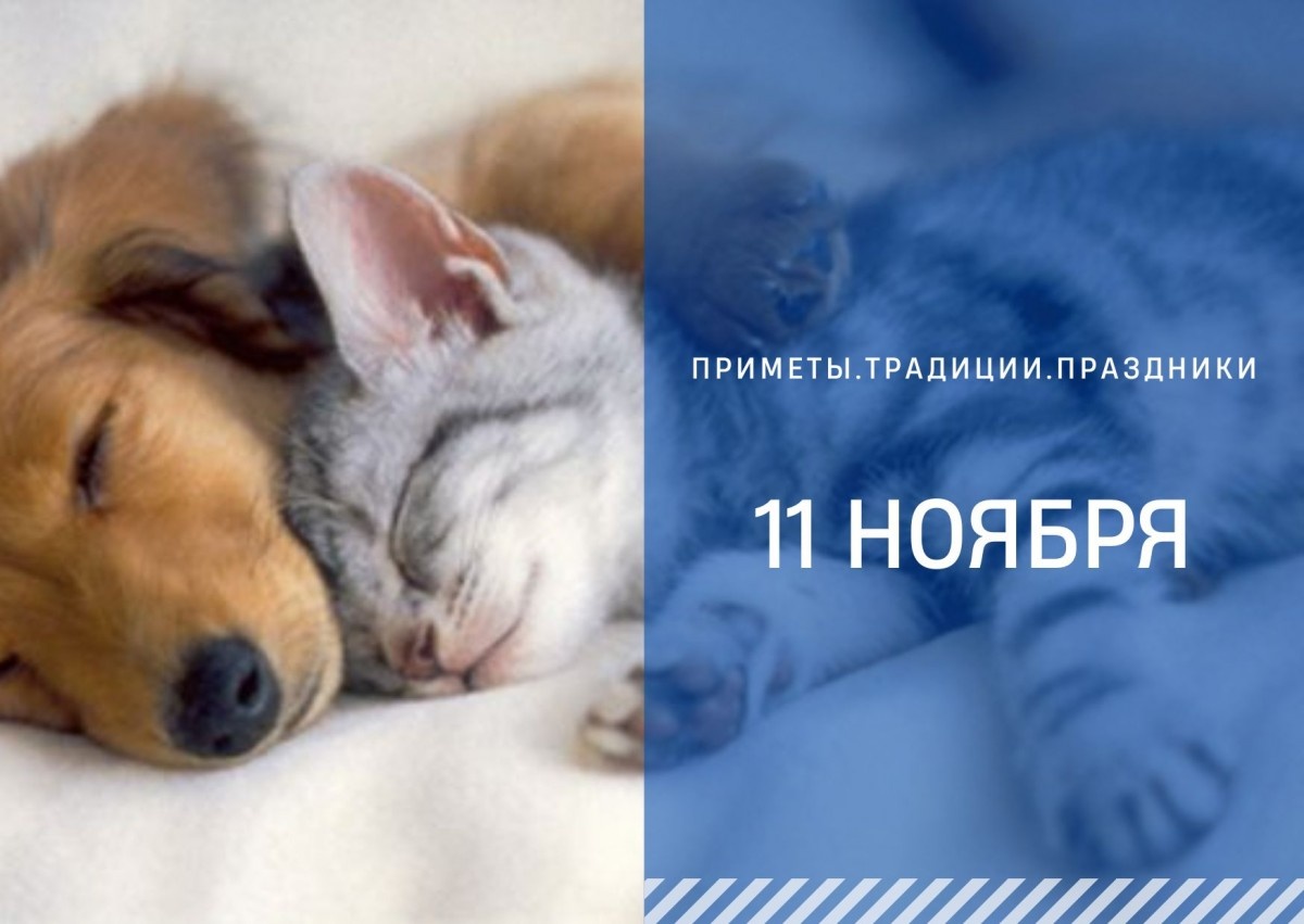   ГТРК "Ставрополье"