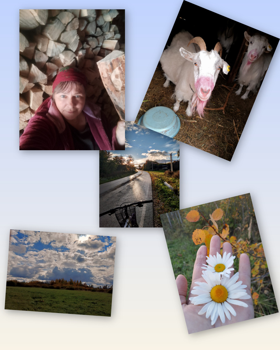 фотоколлаж осени 2025