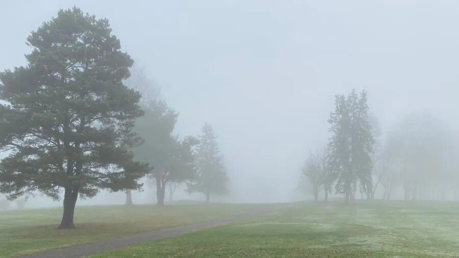 Фото https://www.wkbn.com/weather/why-was-the-fog-so-dense-this-week/