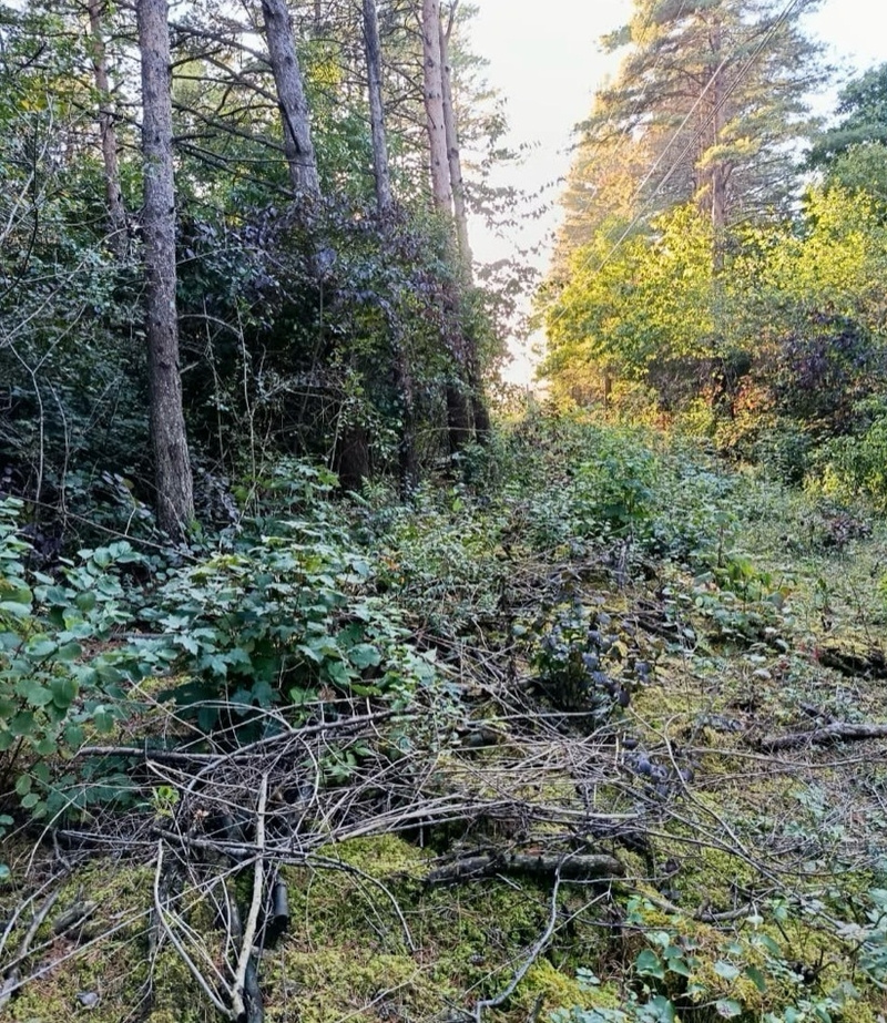      Фото: Прокуратура Ставропольского края