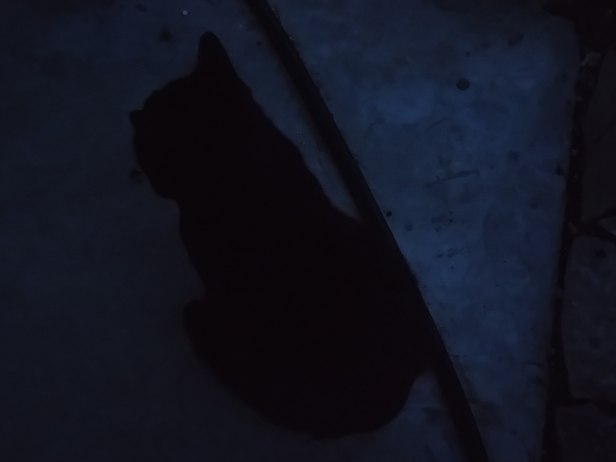 И да, неизменный преследователь...