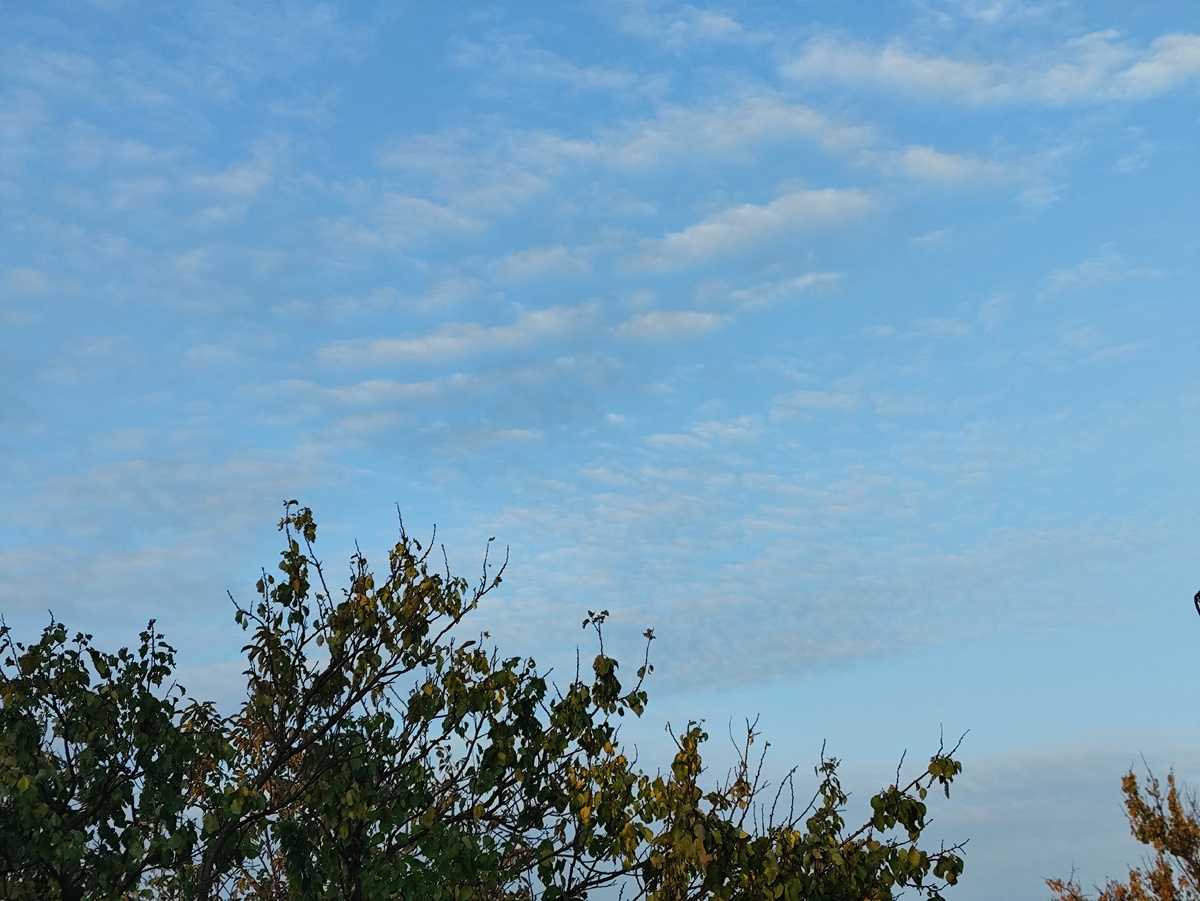 Красота.... Осенью синева особенная...