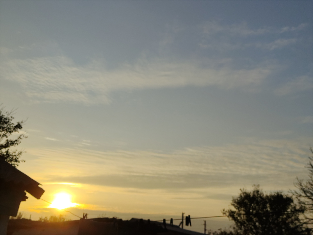 Здравствуй, солнышко!