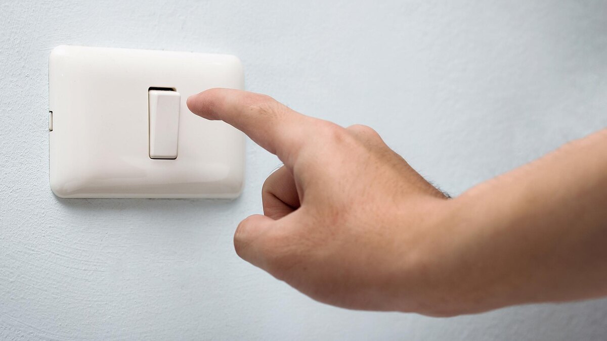    Фото: freepik.com/shayne_ch13