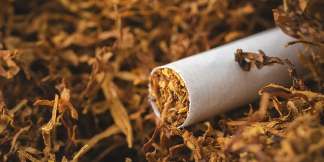 Правда ли, что в современных сигаретах нет настоящего табака? Разбираемся