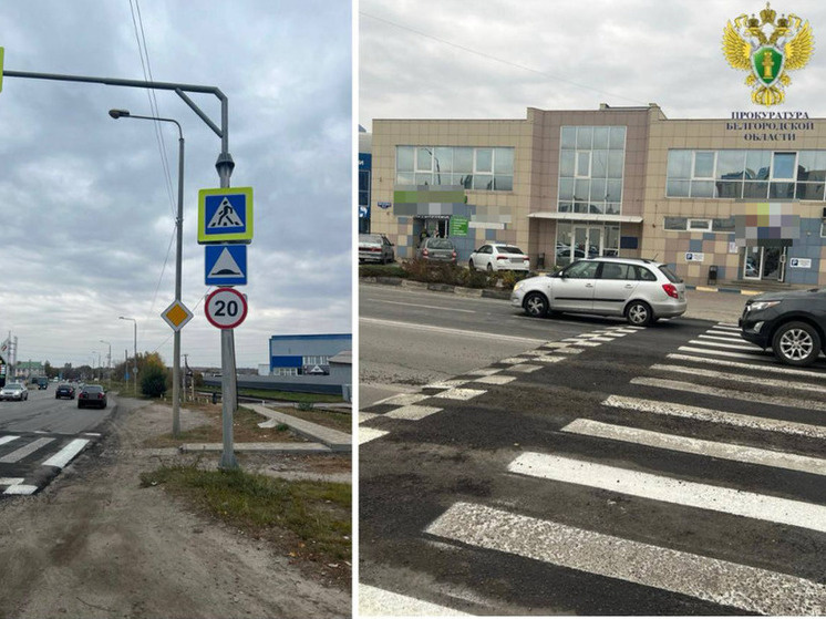     На улице Мичурина в Белгороде обустроили переход по требованию прокуратуры, фото: t.me/proc_31