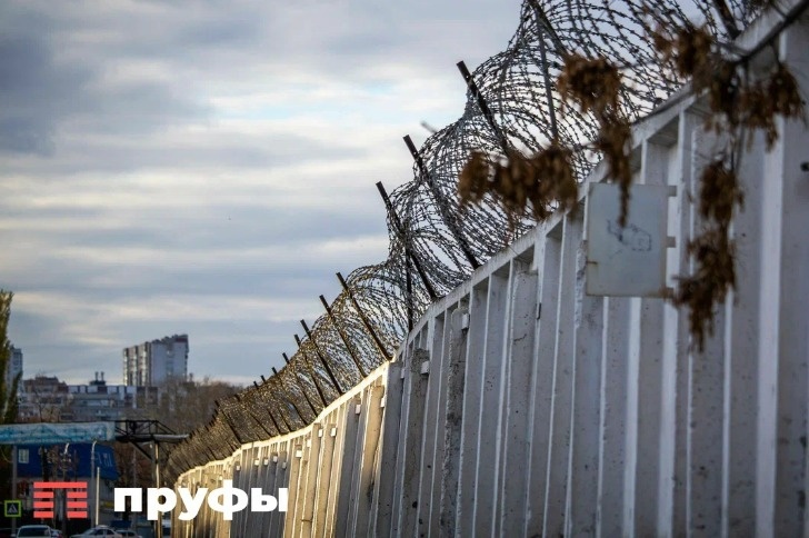    Фото: Пруфы