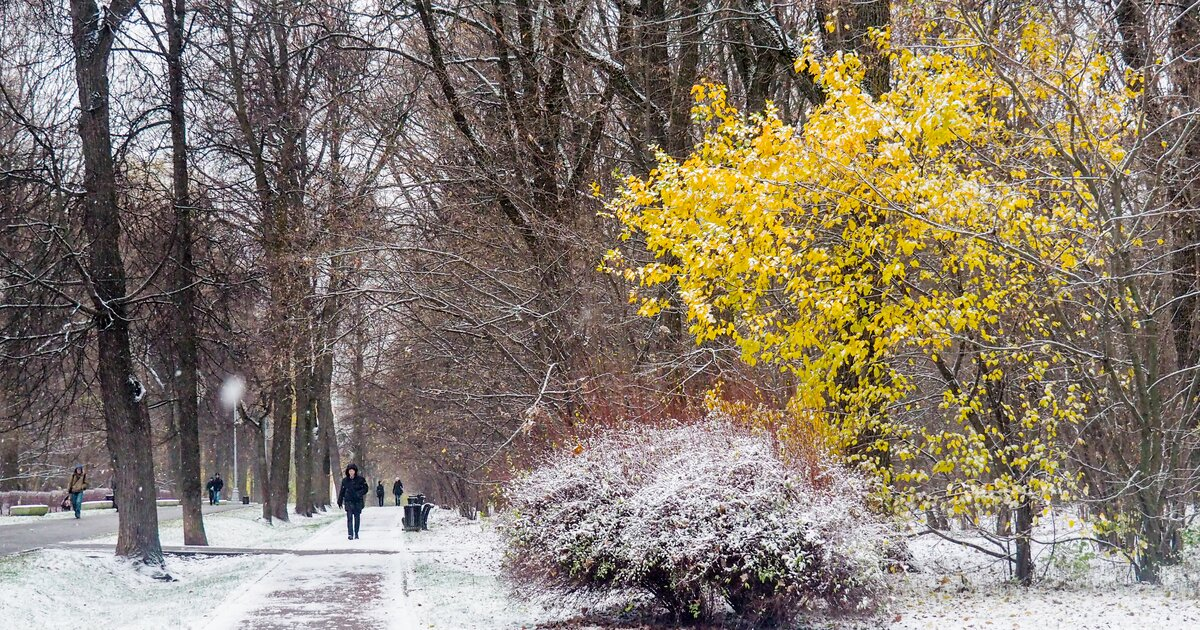 Фото из открытых источников интернет