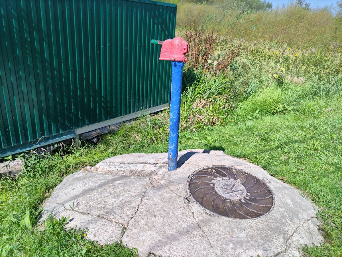 Фото автора.