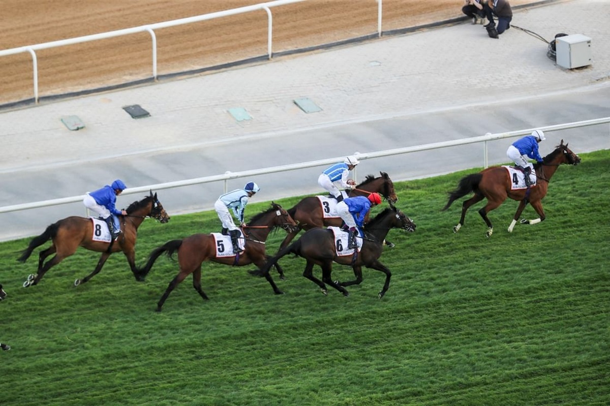 Источник изображения: https://www.arabianbusiness.com