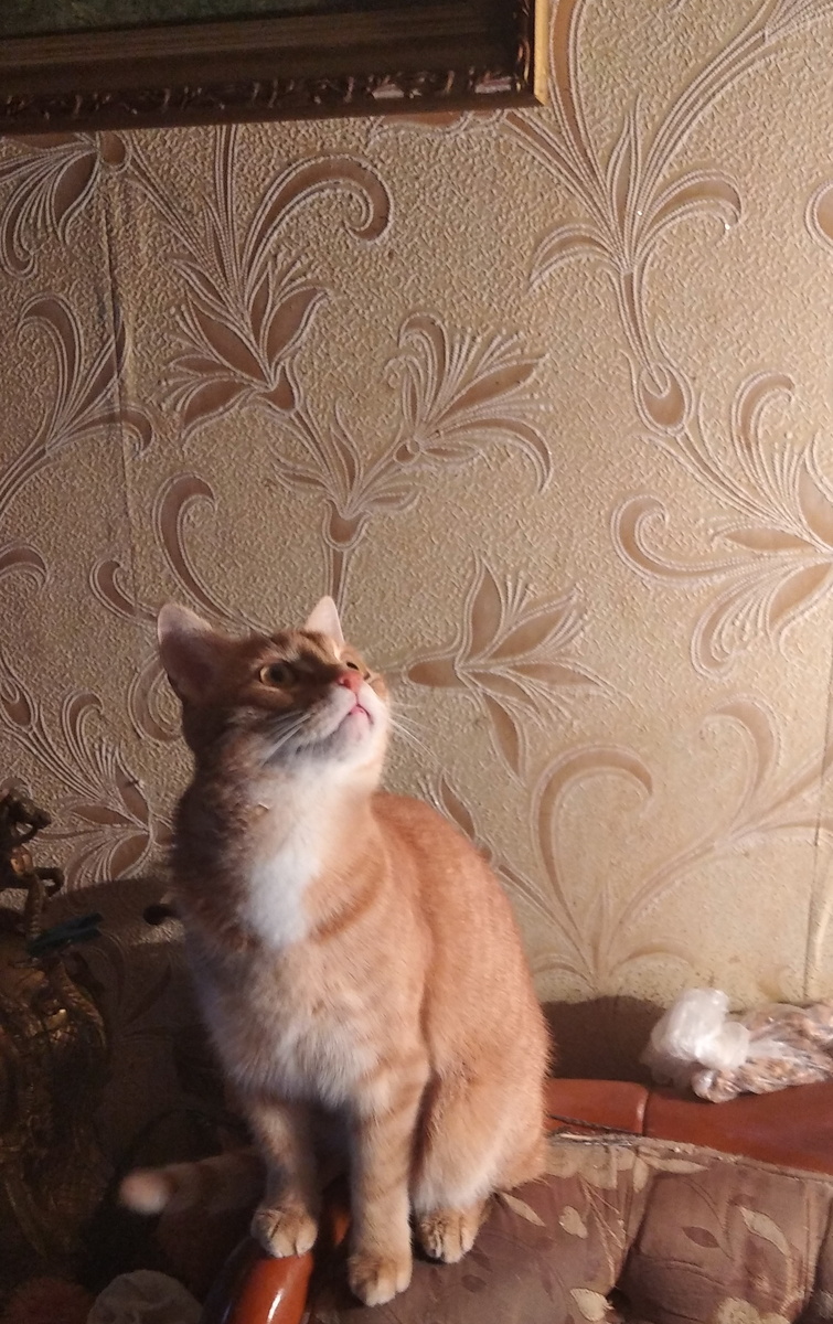 личное фото