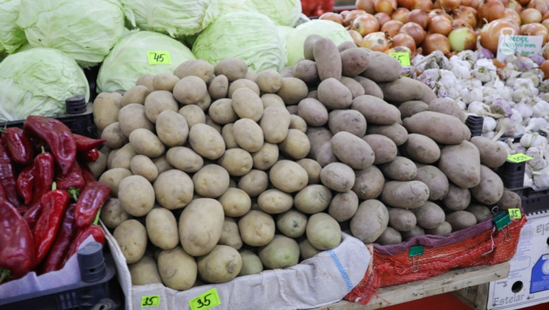      Фото: Дмитрий Ахмадуллин / / ИА «Победа26»