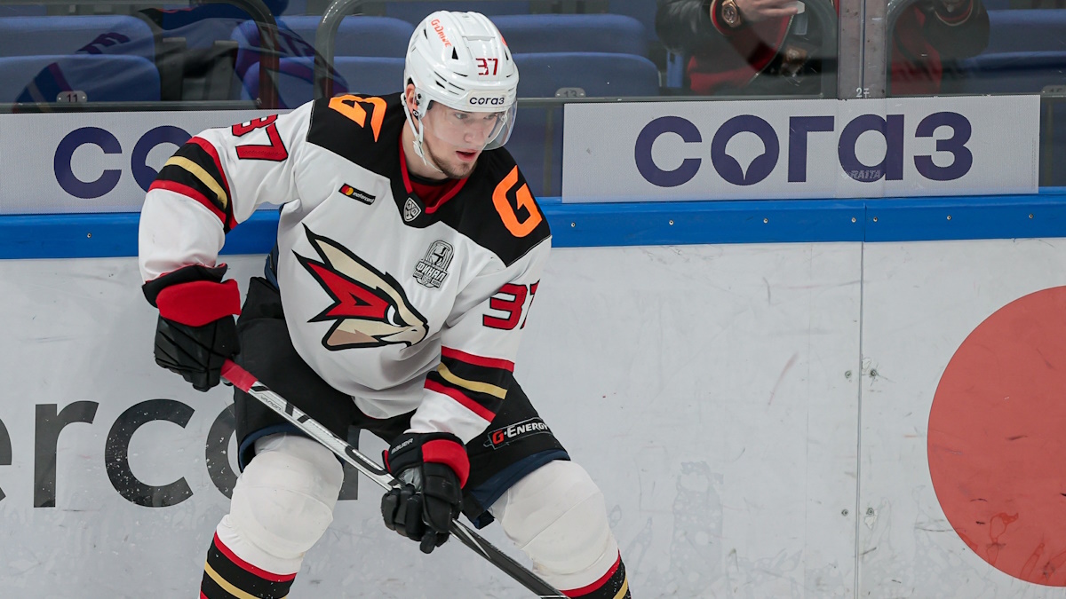    Авангард". Фото: GLOBAL LOOK PRESS