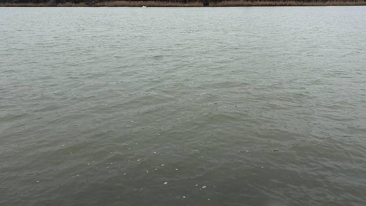    Фото: телеканал «Краснодар»