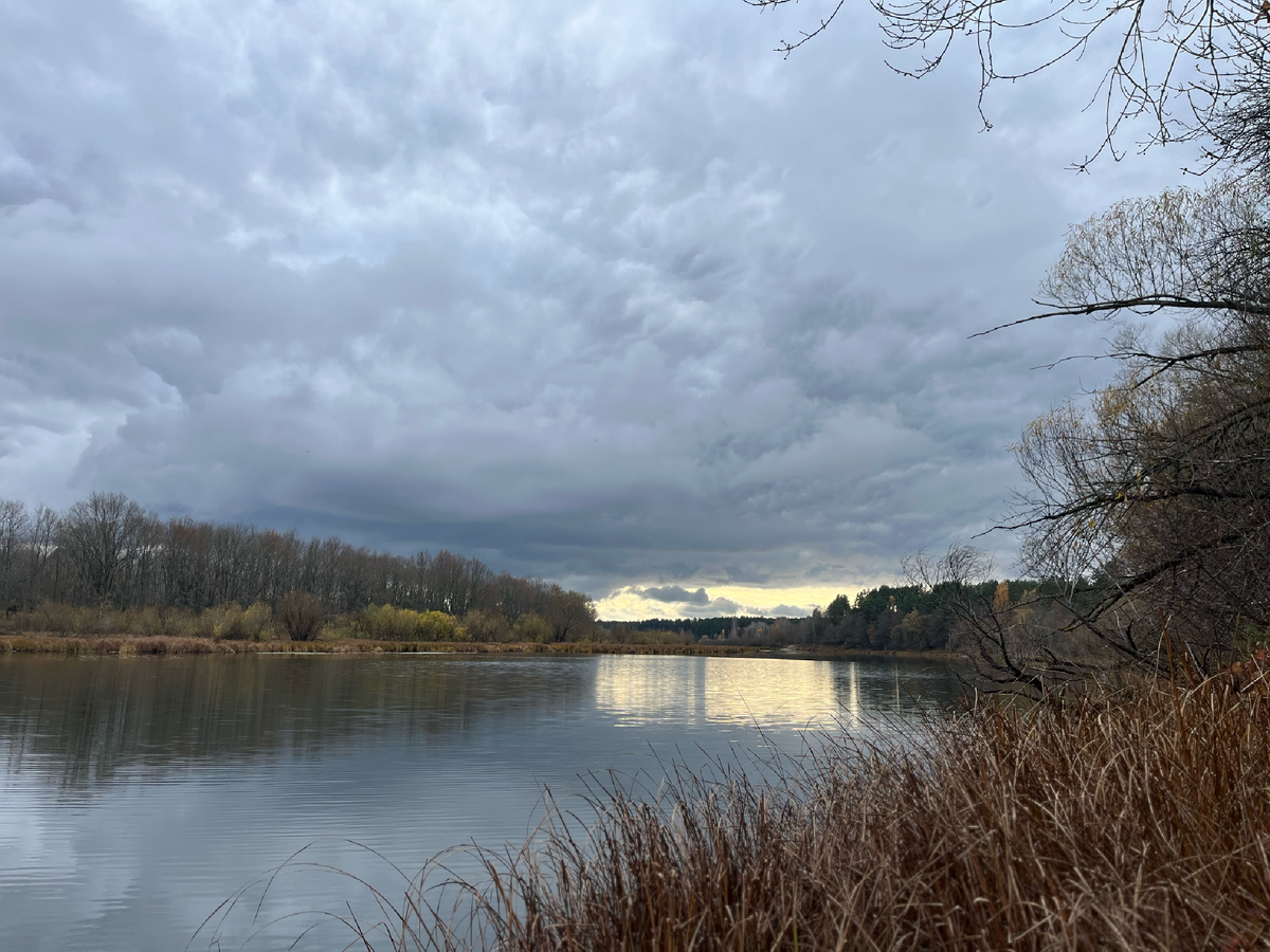 Старица Случь-Мильча, неподалеку от реки Сож