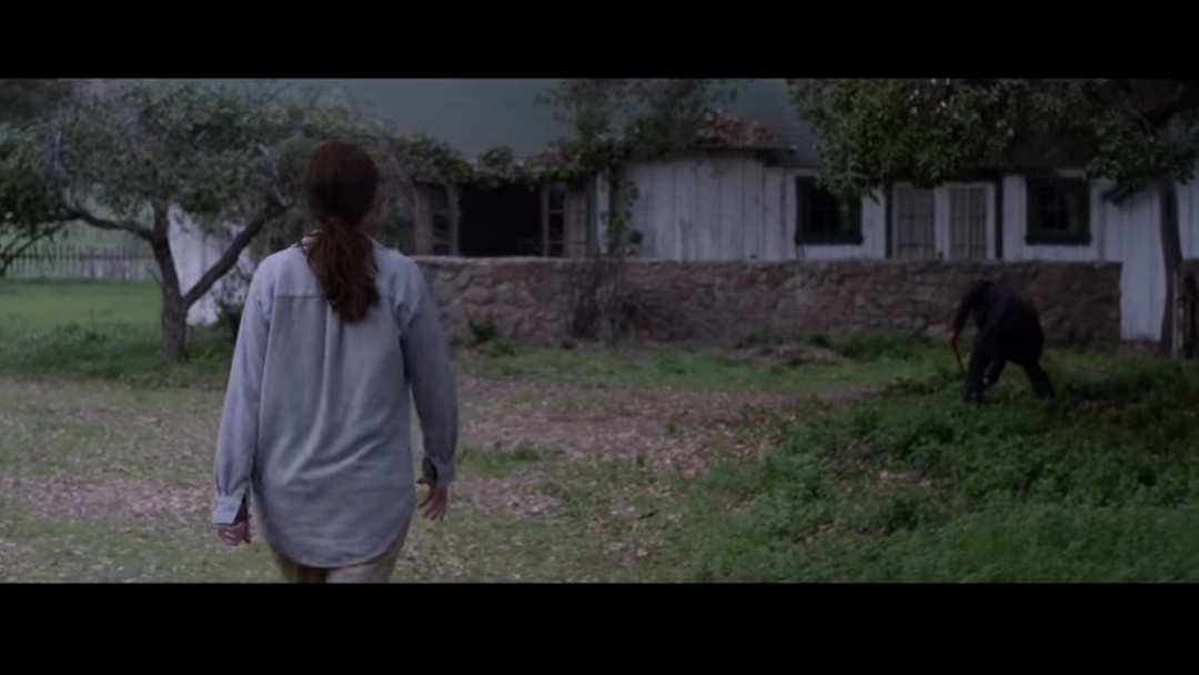 "Тайна в их глазах" (2015 год, США, реж. Билли Рэй, в гл. ролях Чиветель Эджиофор, Джулия Робертс, Николь Кидман, Дин Норрис)