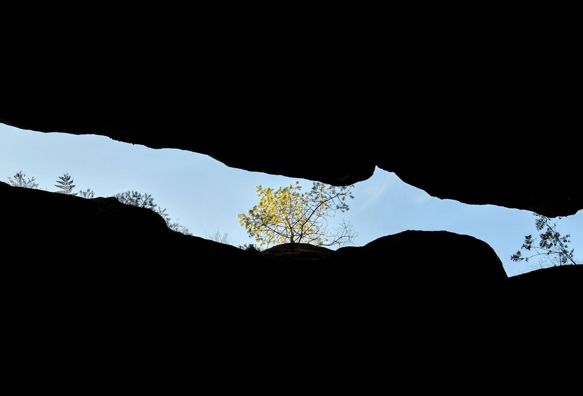     / Источник: © Global Look Press