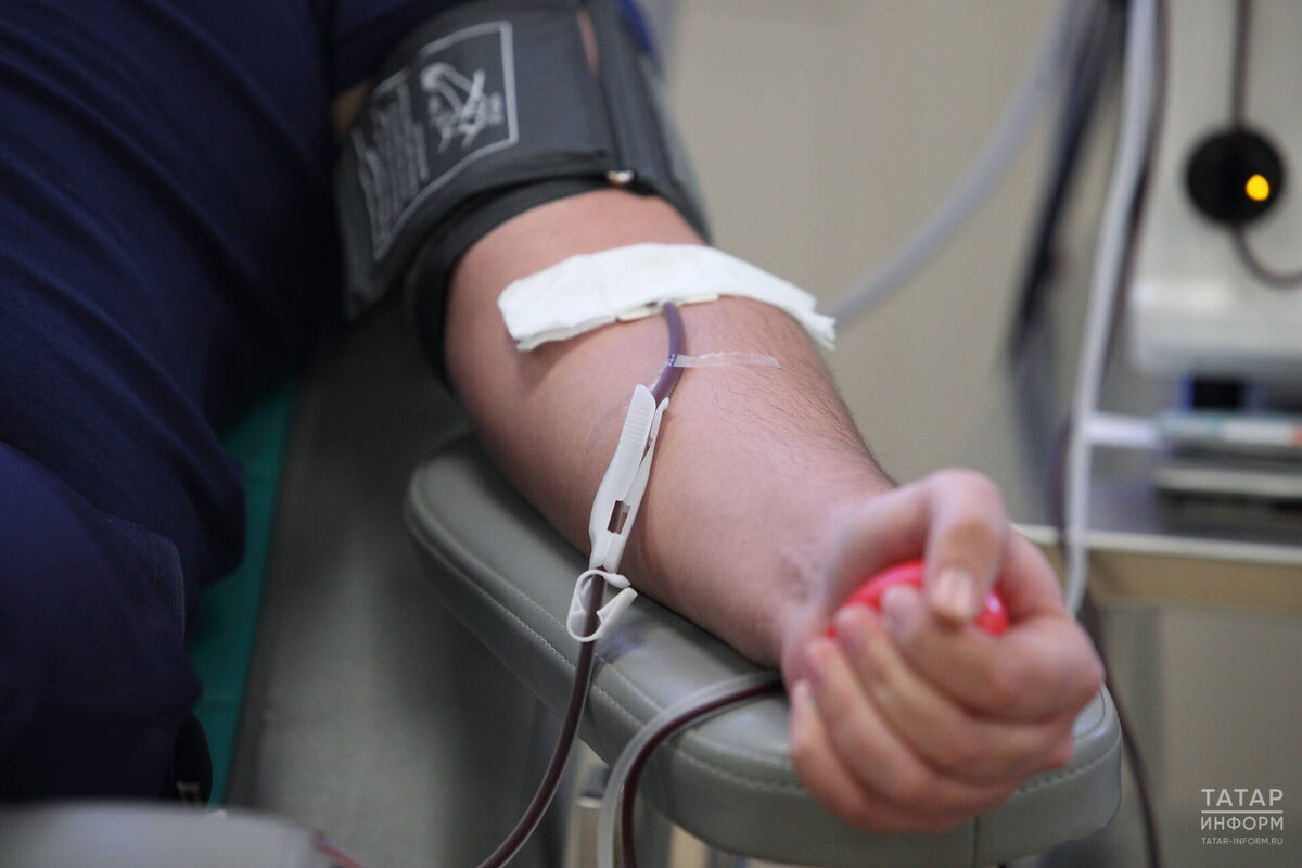 Фото: © Михаил Захаров / «Татар-информ»